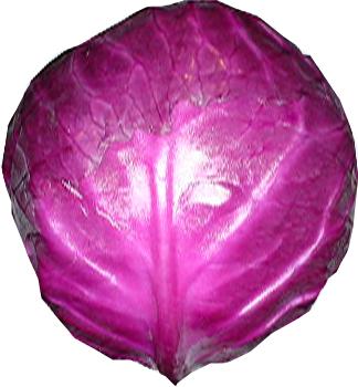 Natural Colour Cabbage Red - Herbal Extracts