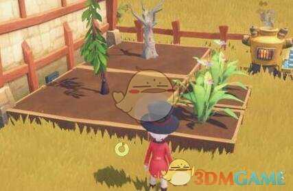 《波西亚时光》鬼洞招牌染料任务完成攻略