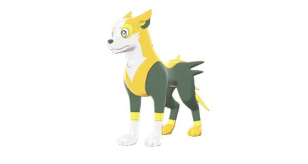 《宝可梦：剑/盾》逐电犬双打配招