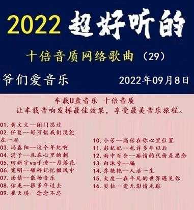 群星《2022超好听的十倍音质网络歌曲(29)》WAV分轨