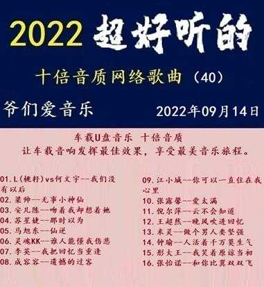 群星《2022超好听的十倍音质网络歌曲(40)》WAV分轨