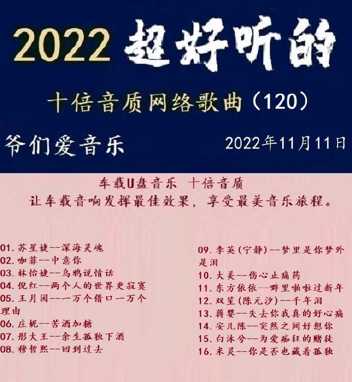 群星《2022超好听的十倍音质网络歌曲(120)》WAV分轨