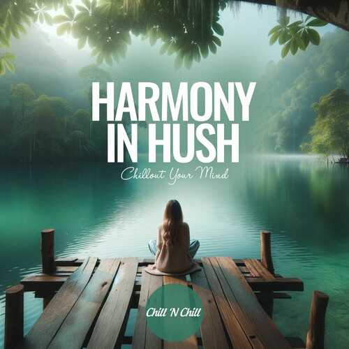 【休闲沙发】VA-2024-HarmonyinHush:ChilloutYourMind(FLAC)