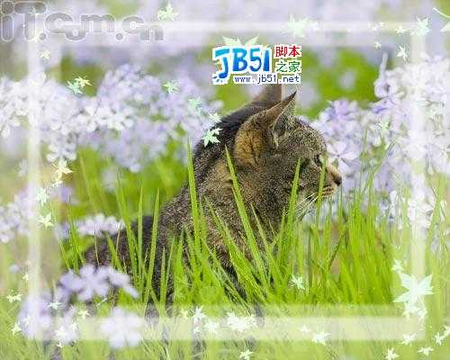 Photoshop新手教程:添加相框及签名