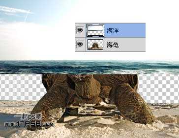 photoshop合成制作海龟岛自然场景