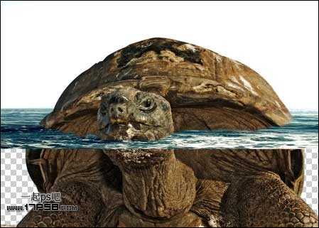 photoshop合成制作海龟岛自然场景
