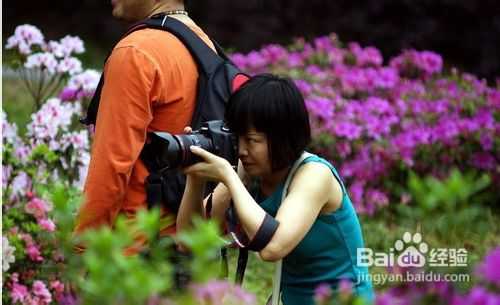 摄影入门:单反相机拍摄入门技巧大全