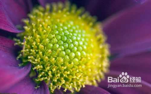 摄影入门:单反相机拍摄入门技巧大全