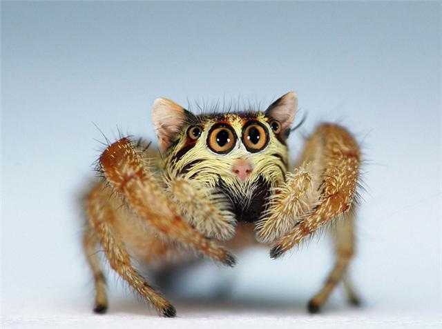 Photoshop下的地球新物种?你见过没