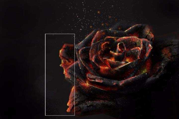 ps怎么设计燃烧灰烬效果的玫瑰花?