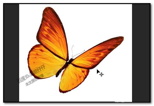 PS图片为什么不能去色?ps不能给图片去色怎么办?