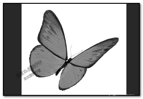 PS图片为什么不能去色?ps不能给图片去色怎么办?